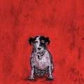 Sam Toft (Small Dog)