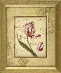 Postcards of Love 1