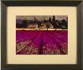 Lavender Days 1