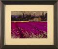 Lavender Days 2
