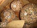 Decorative Fruit