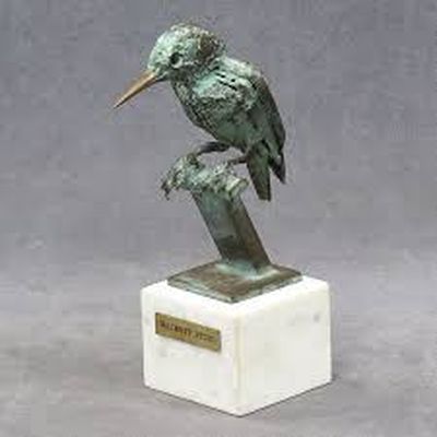 Bronze Kingfisher