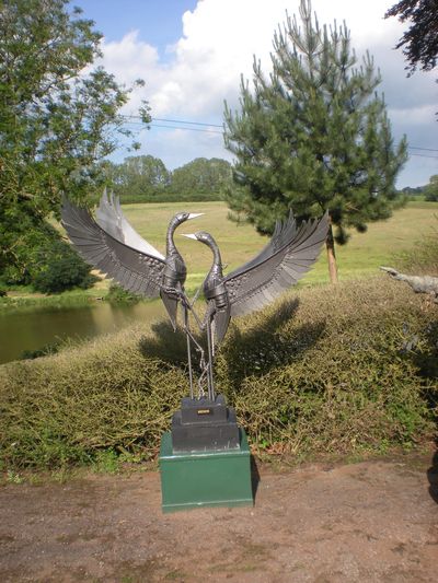 Displaying Ibis