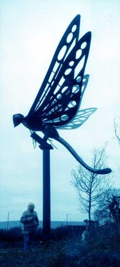 25ft Dragonfly and B