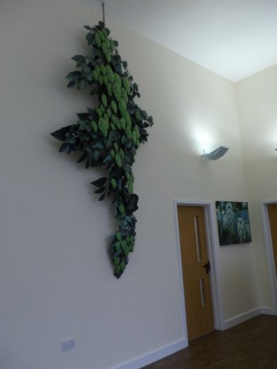 Hops Wall Mural