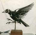 birdeditx