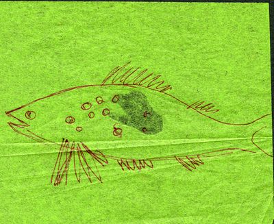 Fish Sketch editx