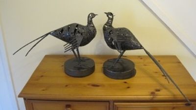 Brace of Pheasants