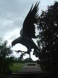 Steel Eagle