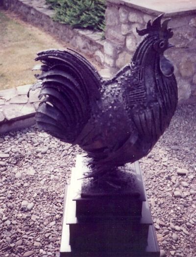 Cockerel