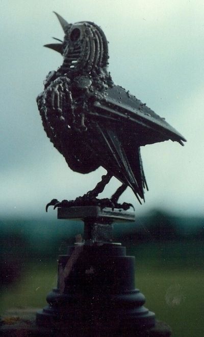 Fledgling Blackbird