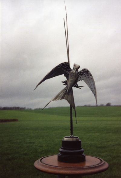 Swallow in Flight