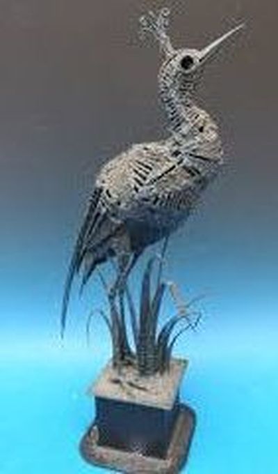 Aquatic Bird